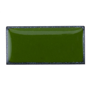 Jungle green .jpg