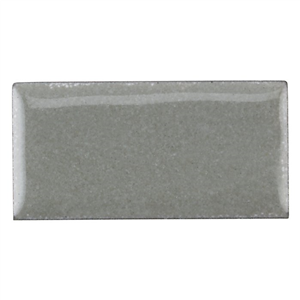 Pussywillow Gray .jpg