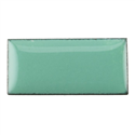 Mint Green .jpg