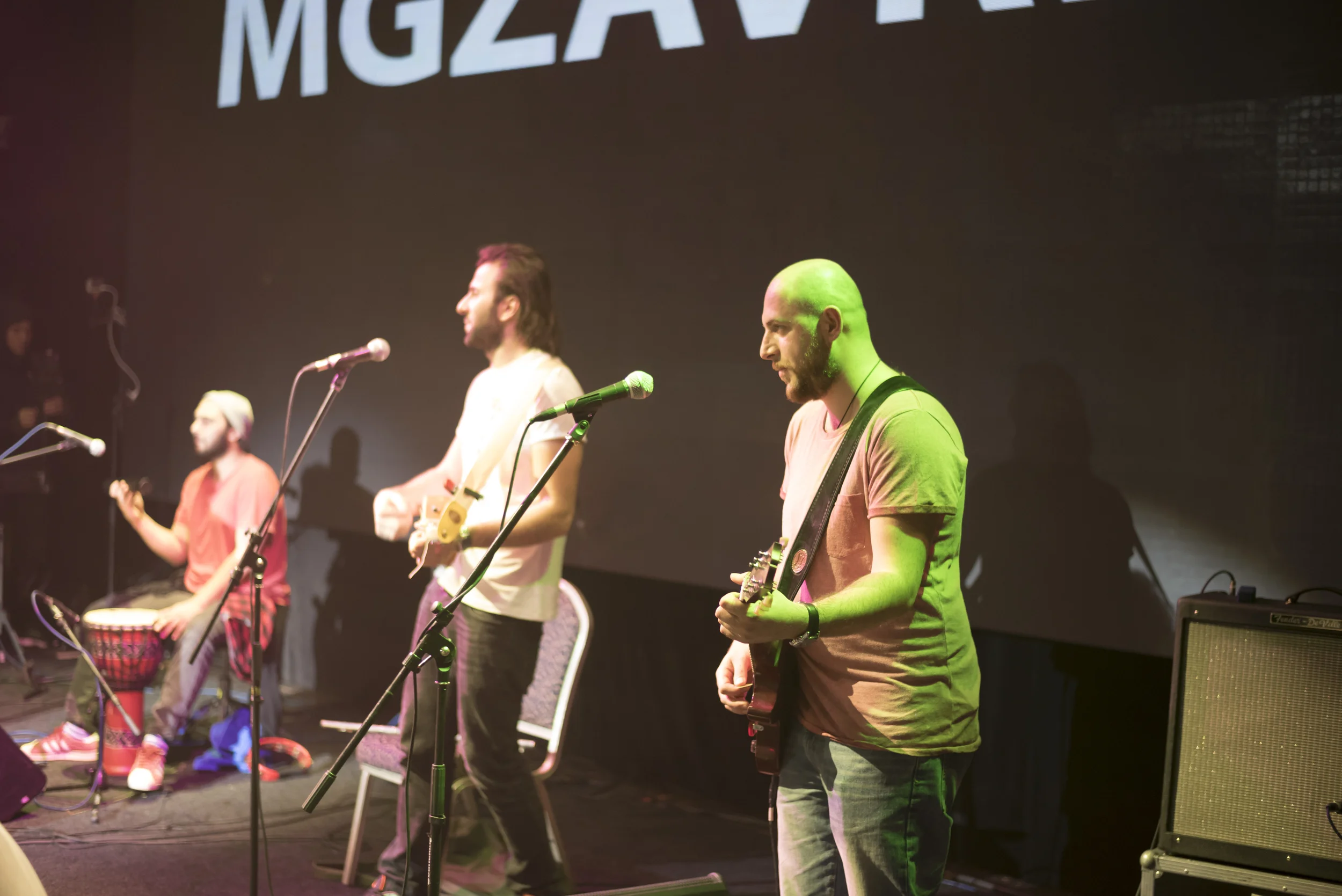07.04.16 Мгзавреби_12.jpg