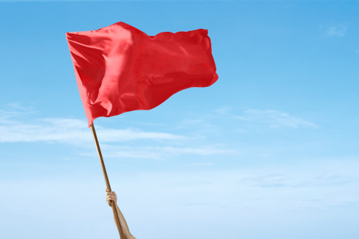The 6 Most Common Behavioral Red Flags of — ACFE Insights