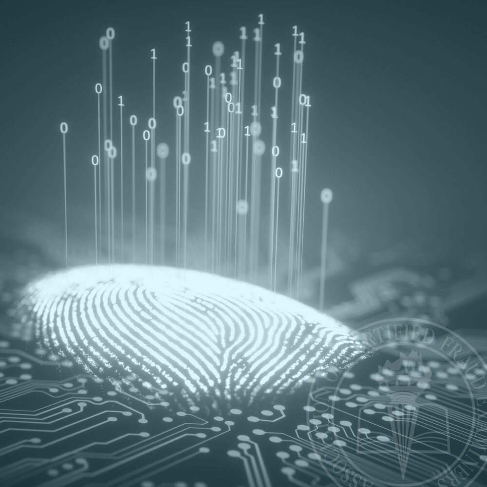 How to Build a Digital Identity System — ACFE Insights