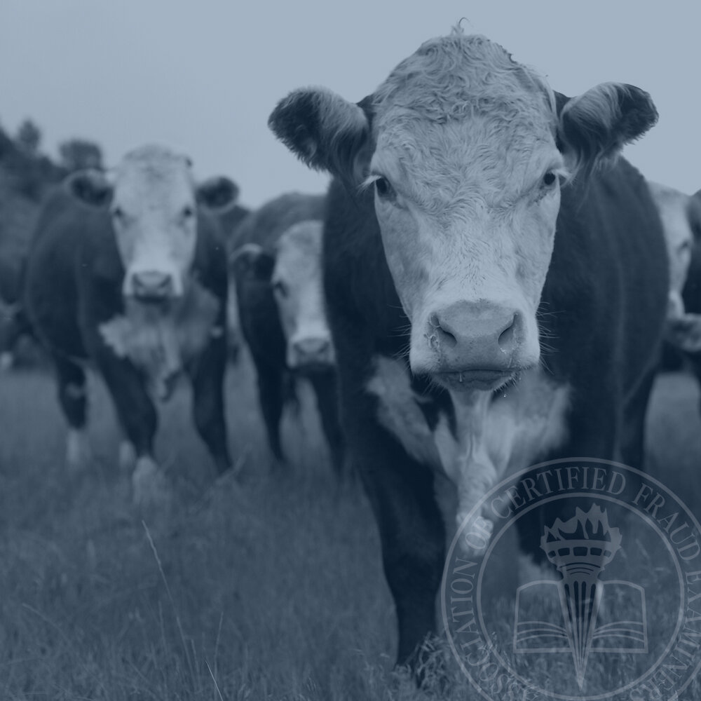 ghost-cattle-fraud-scheme.jpg