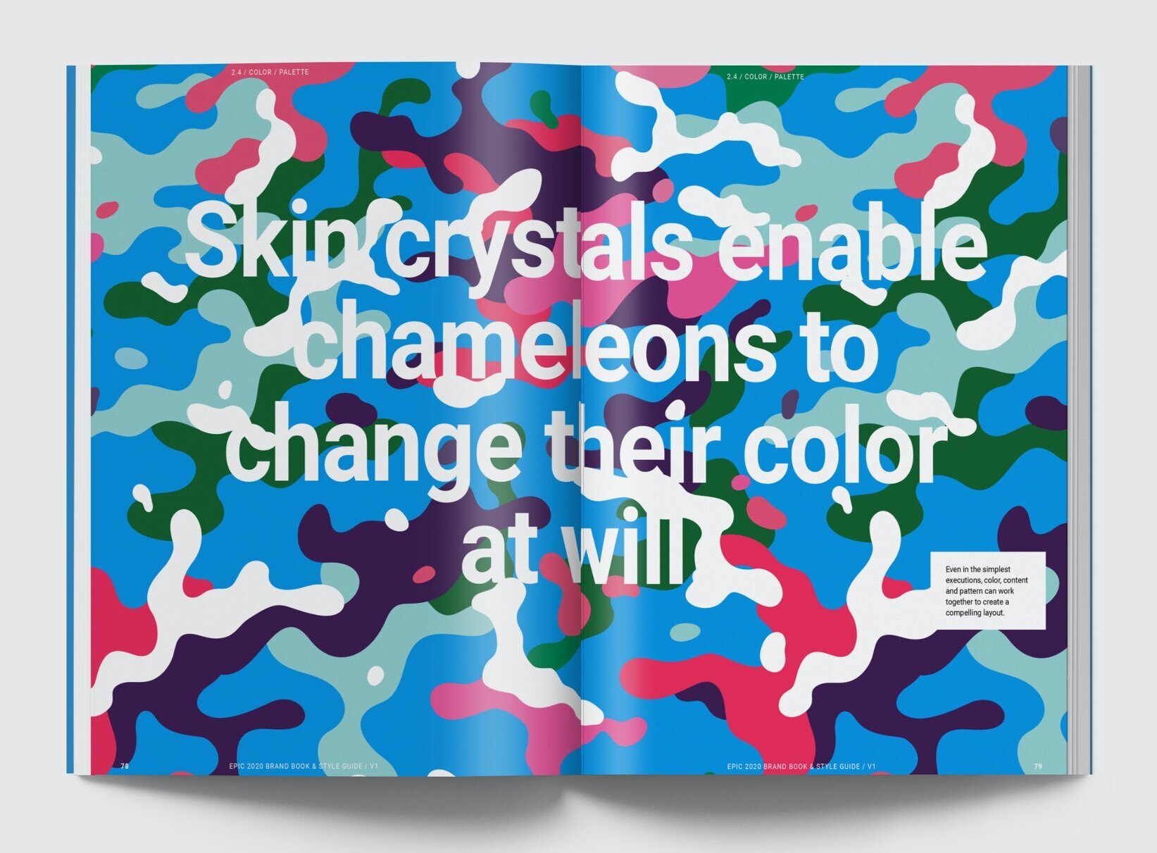 styleguidespreads_colorchameleon.jpeg