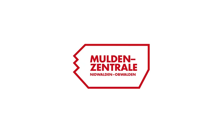 The logo version that got chosen by the client. He wished it to be green instead of red.