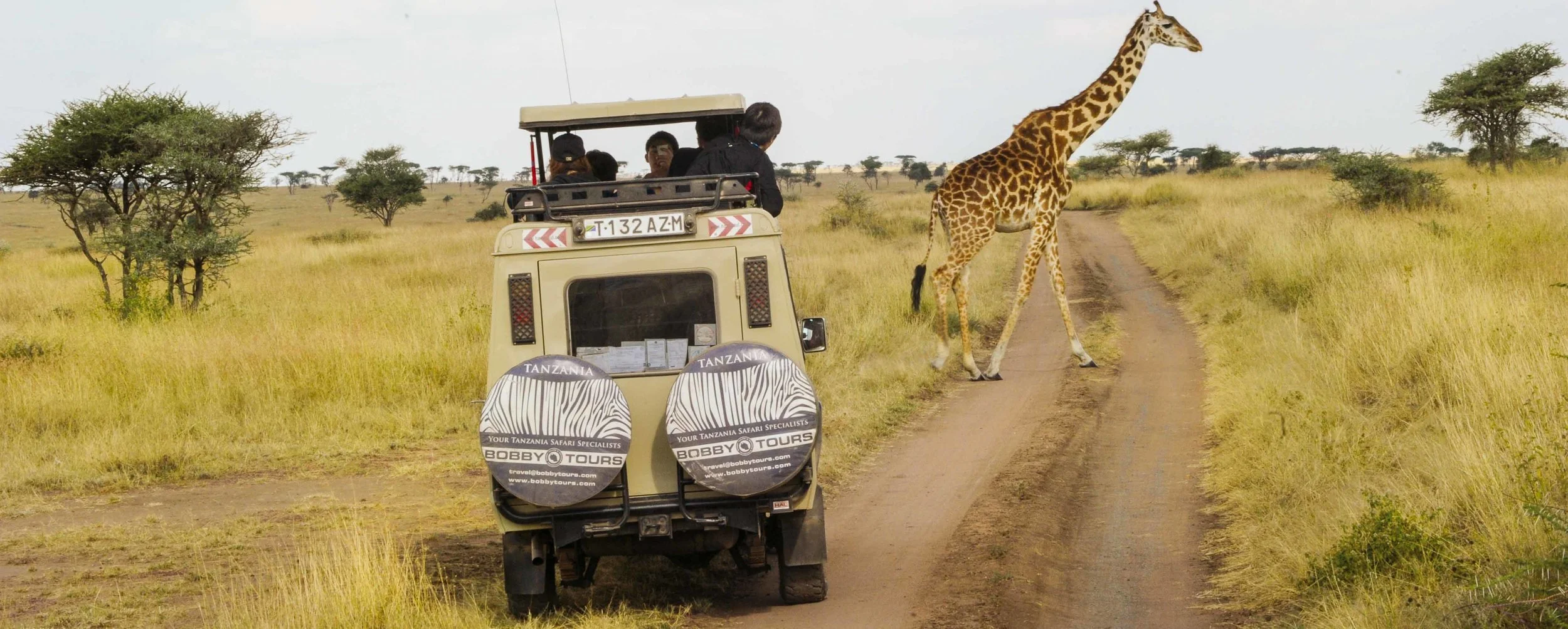 Planning a Holiday on Safari: What You Need to Do