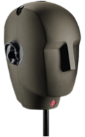 binaural head.png