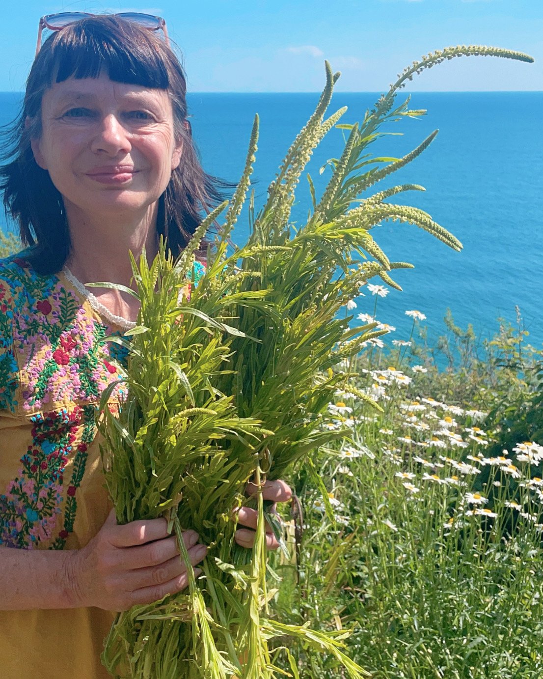 Carry in Branscombe with weld plants.JPG