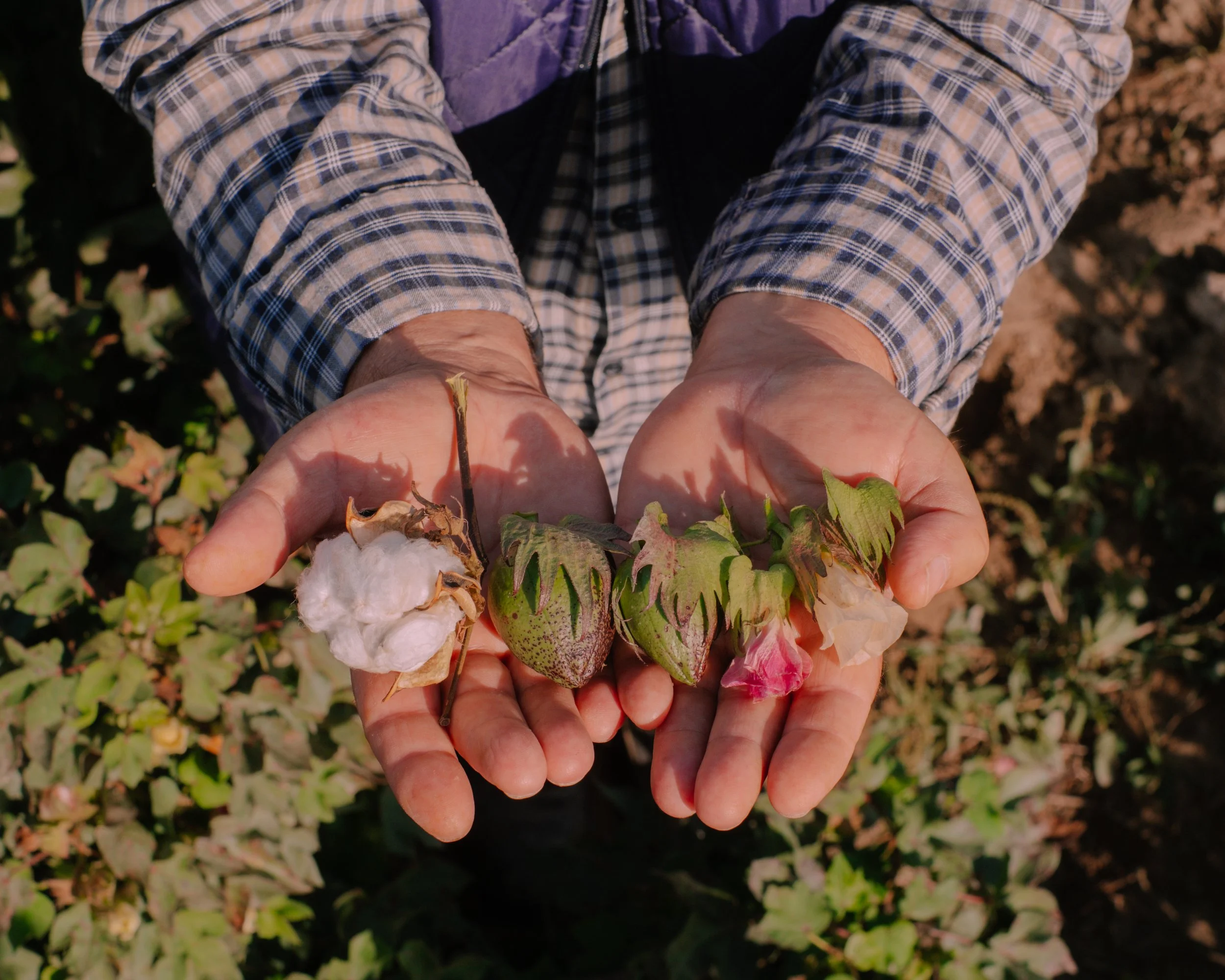 photo by Anass Ouaziz