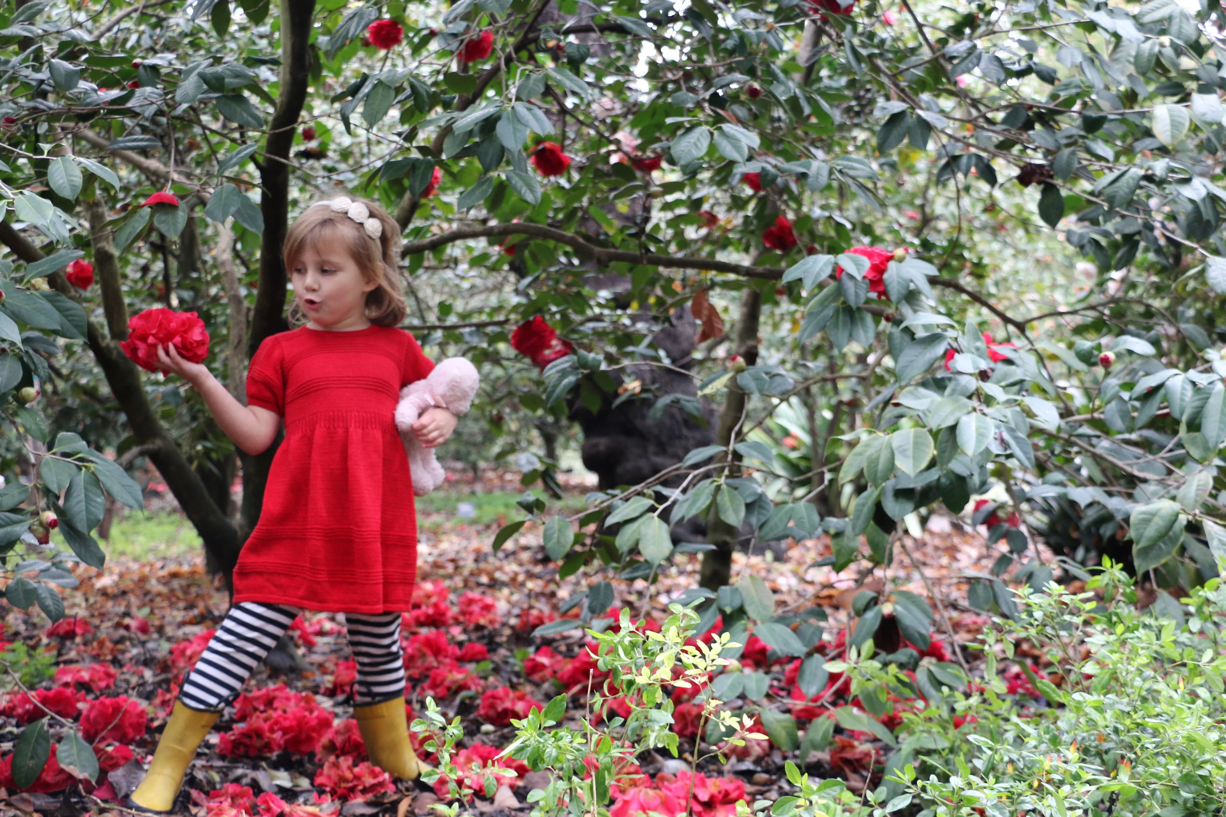 Fairyland