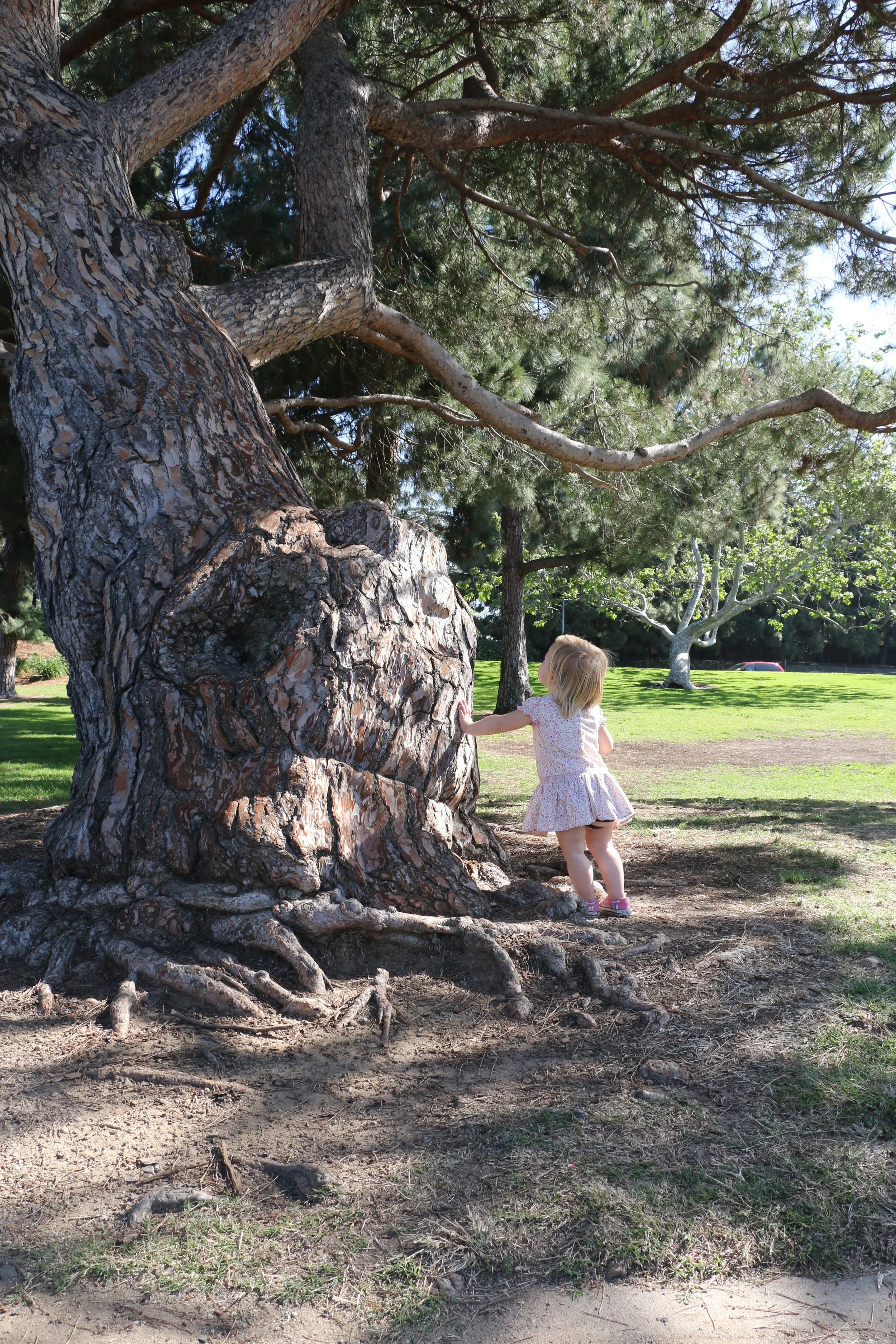 Oh, no. Next, P is going to start asking me questions about trees. 