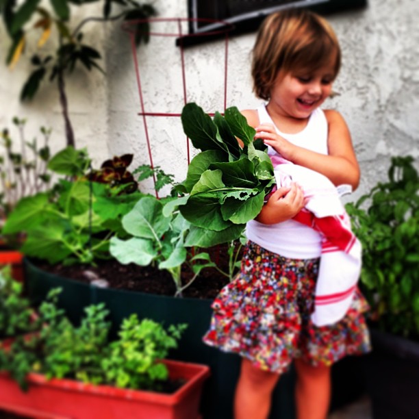 Last year's bounty, our closest garden approximation.