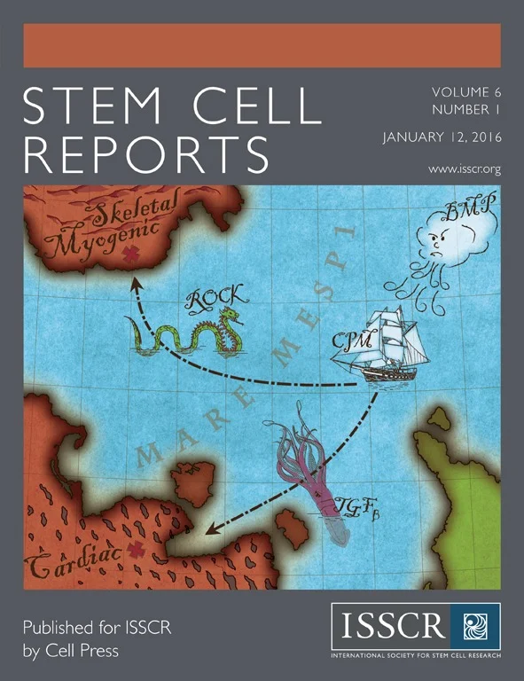 Cover for Stem Cell Reports