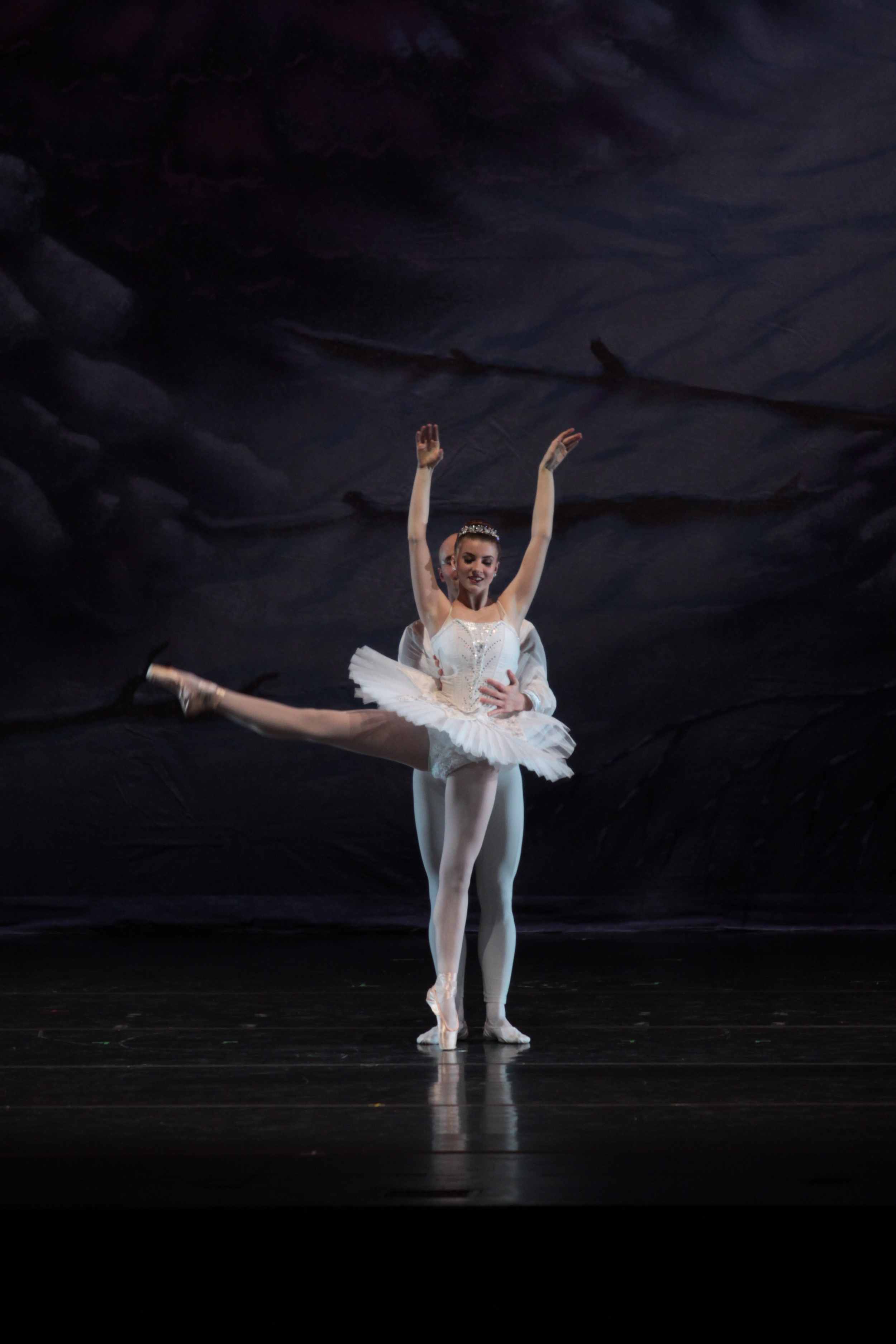 sat-a1s3-winterland-010.jpg