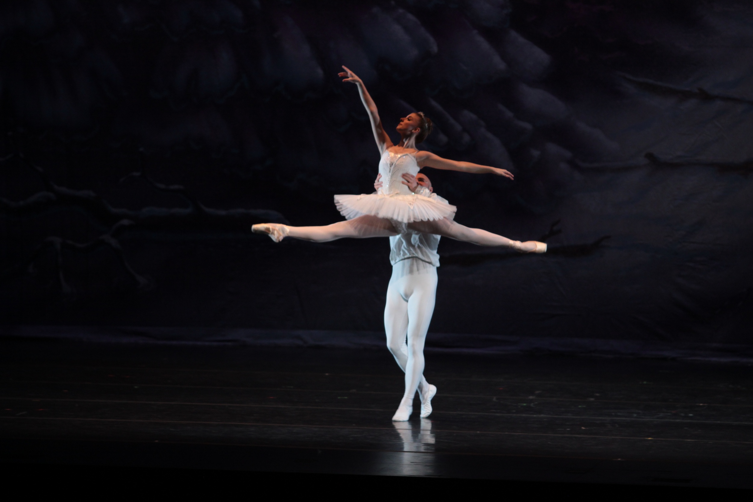 sat-a1s3-winterland-028.jpg
