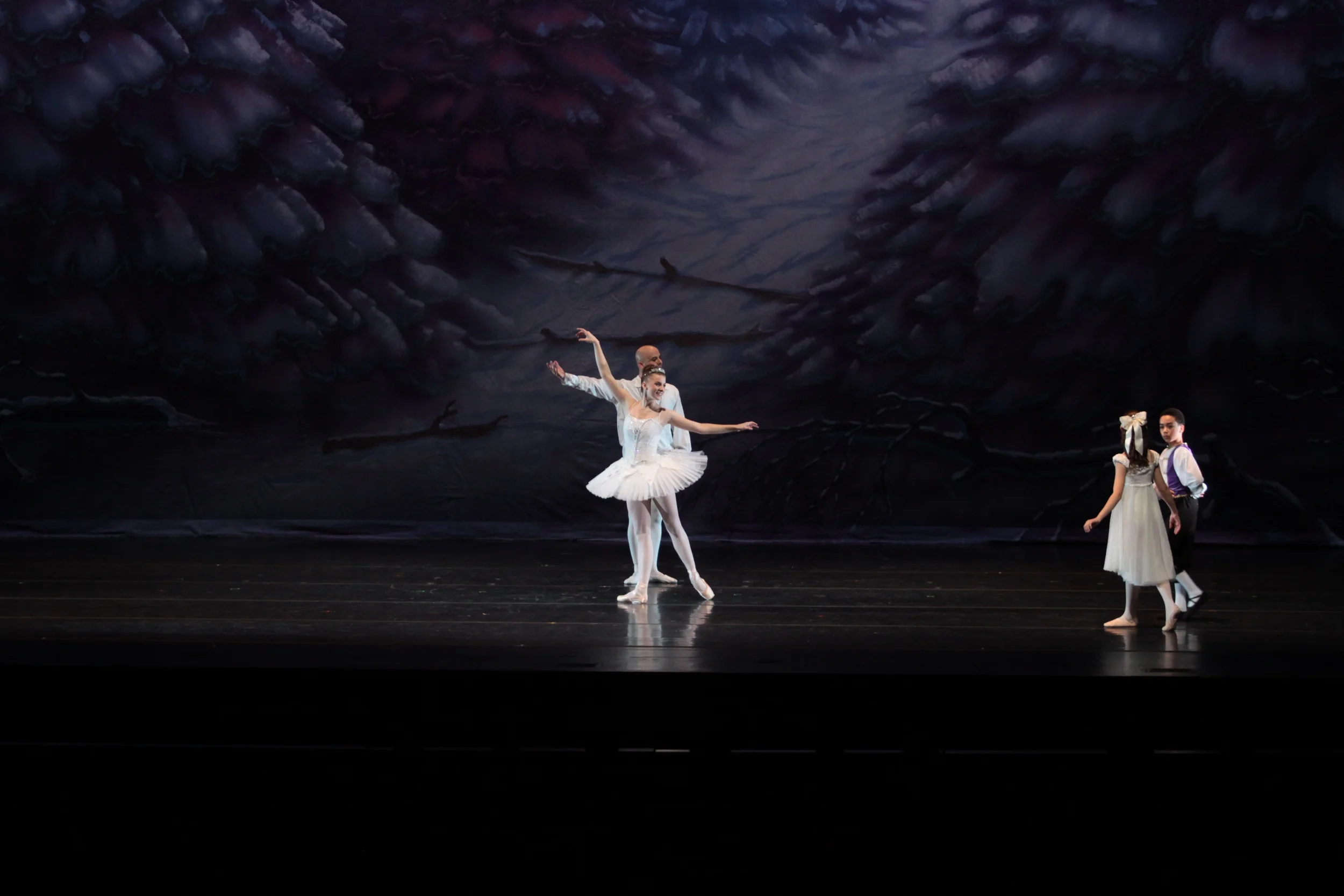 sat-a1s3-winterland-053.jpg