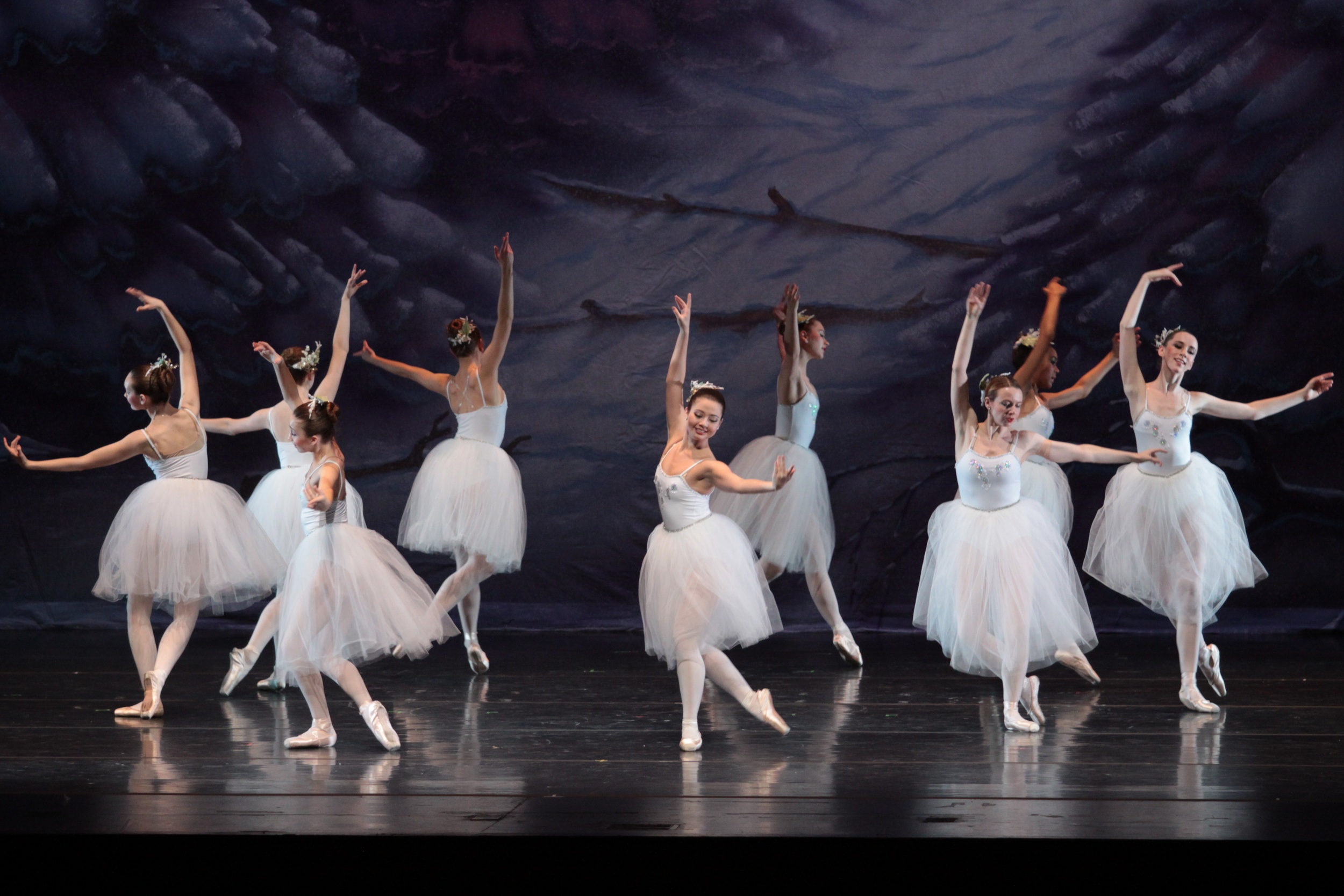 sat-a1s3-winterland-075.jpg