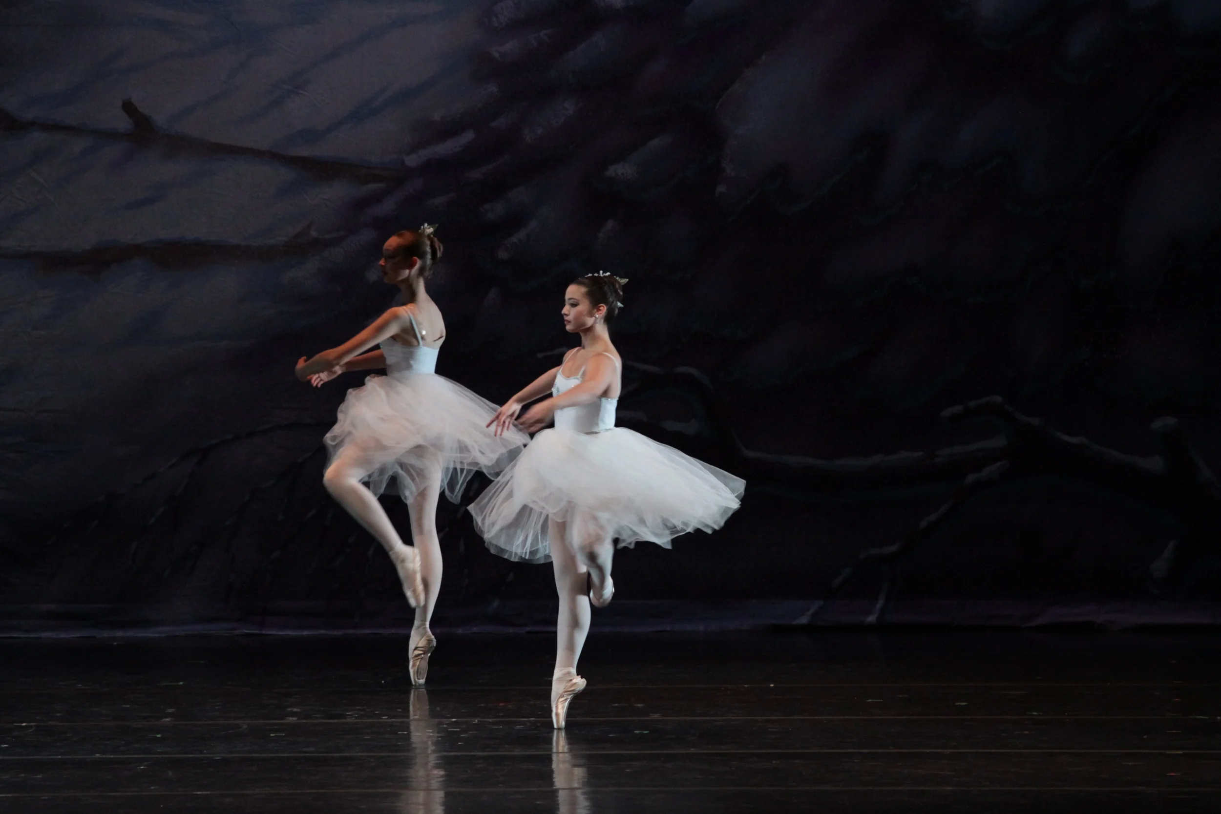 sat-a1s3-winterland-081.jpg
