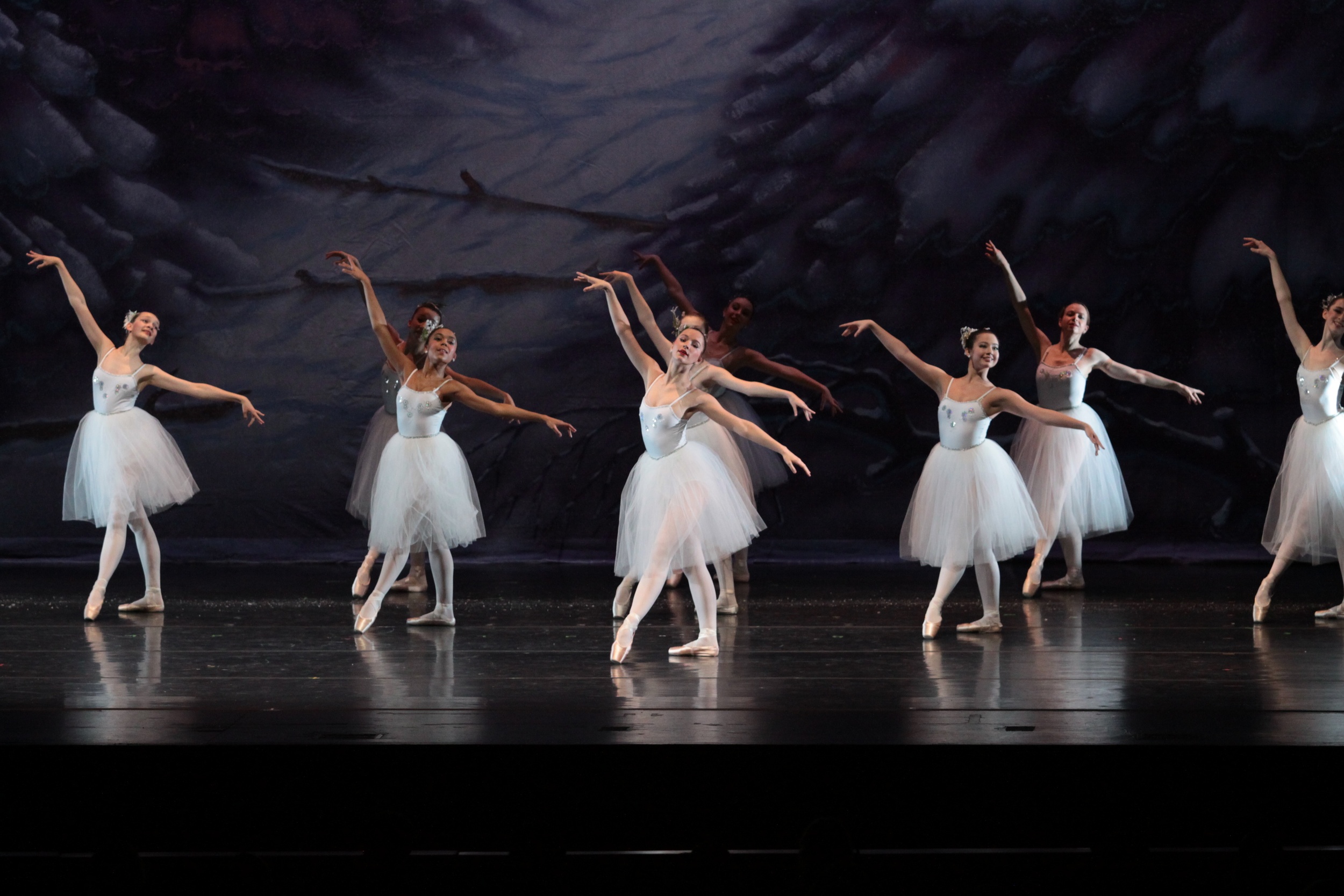 sat-a1s3-winterland-106.jpg