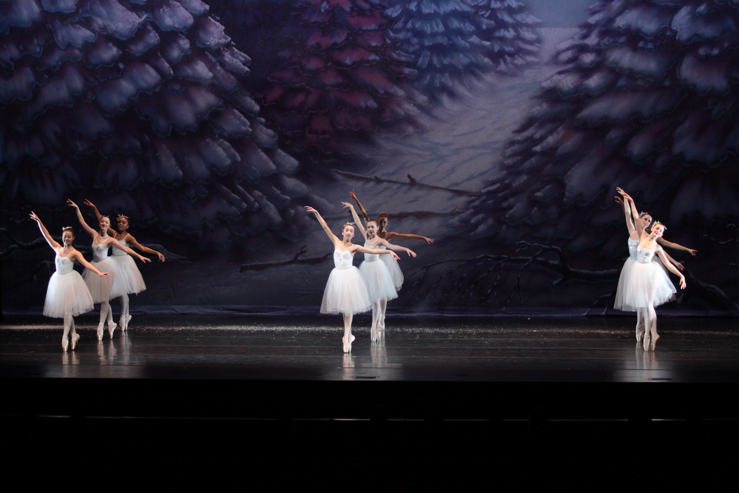 sat-a1s3-winterland-142.jpg