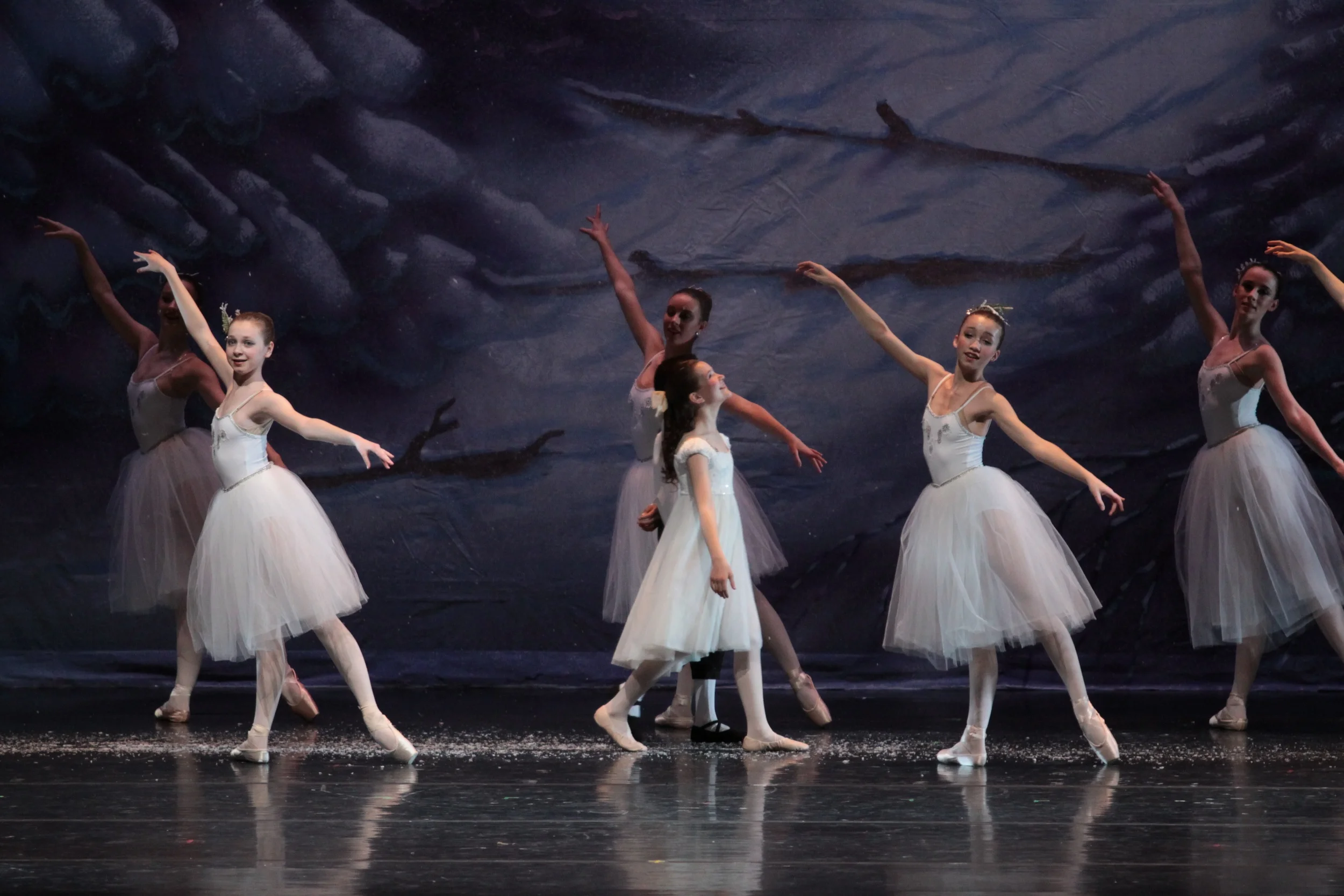 sat-a1s3-winterland-146.jpg