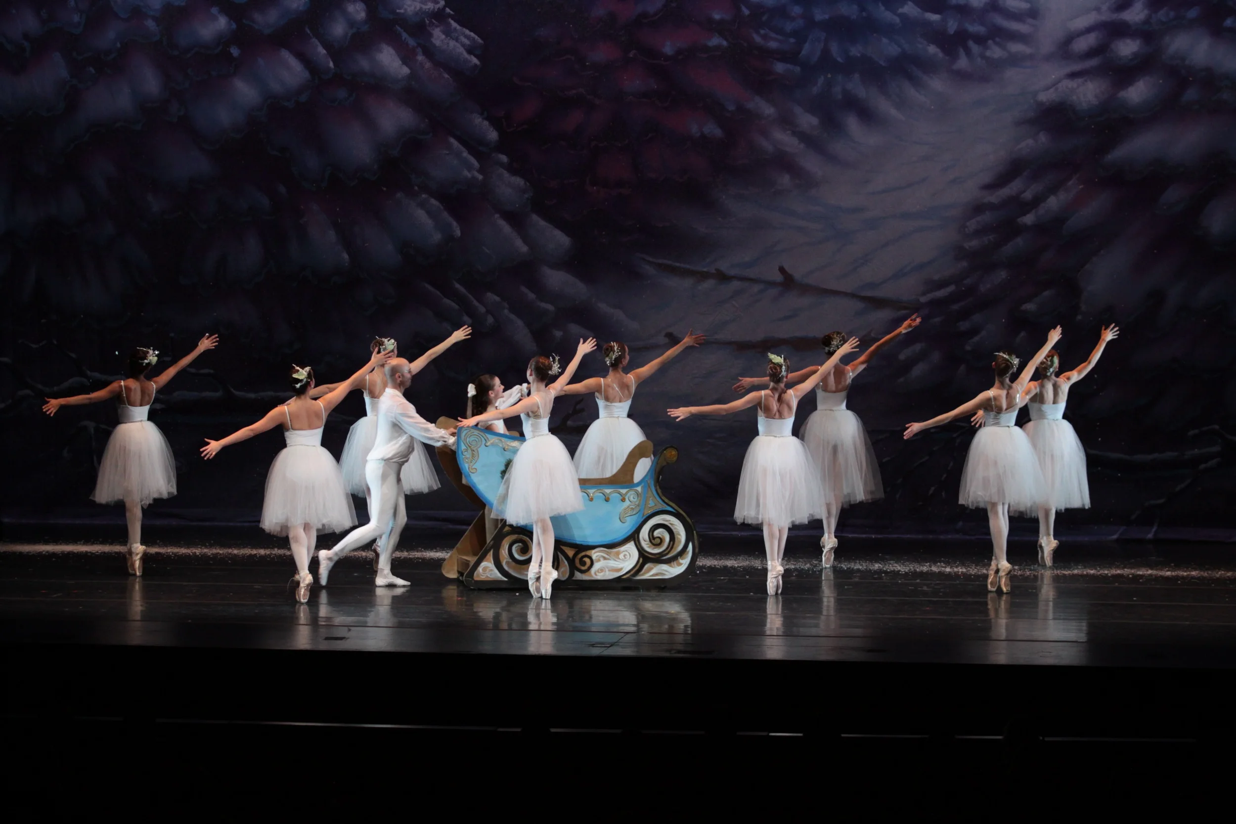 sat-a1s3-winterland-162.jpg