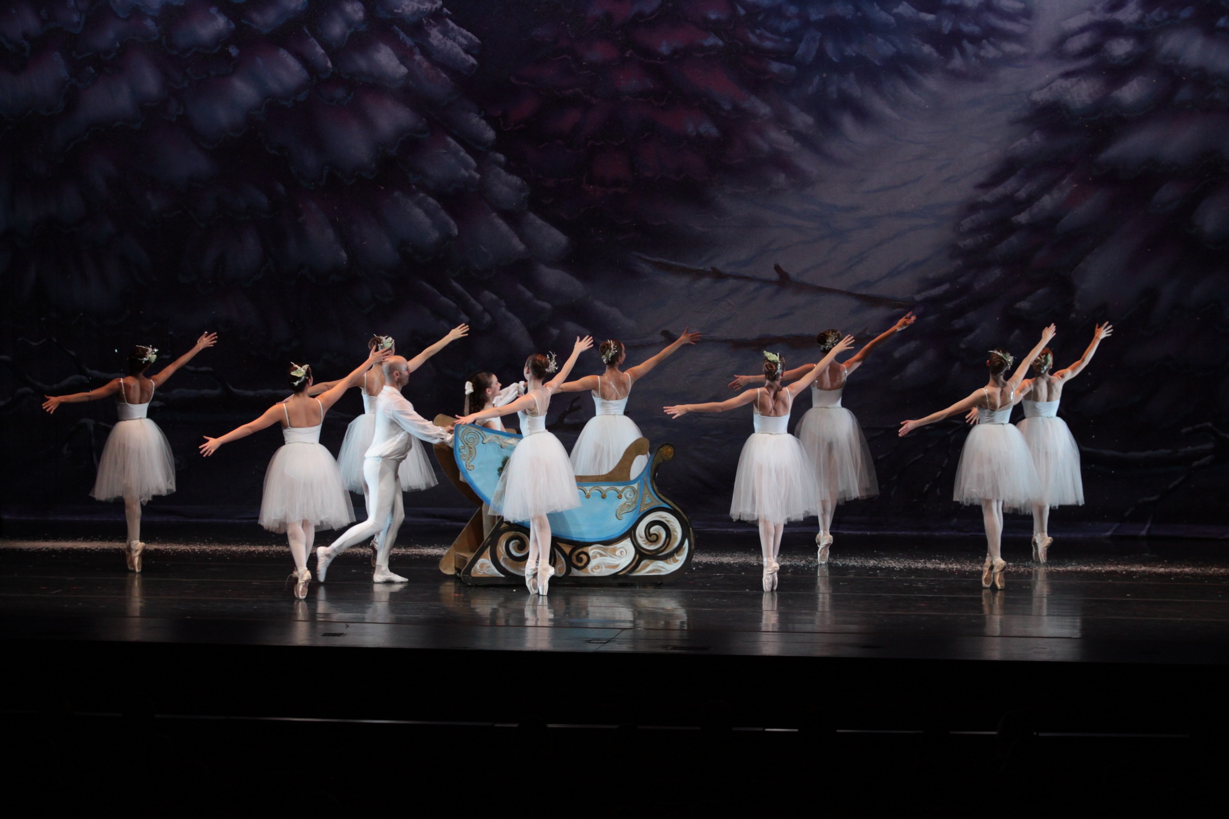 sat-a1s3-winterland-162.jpg