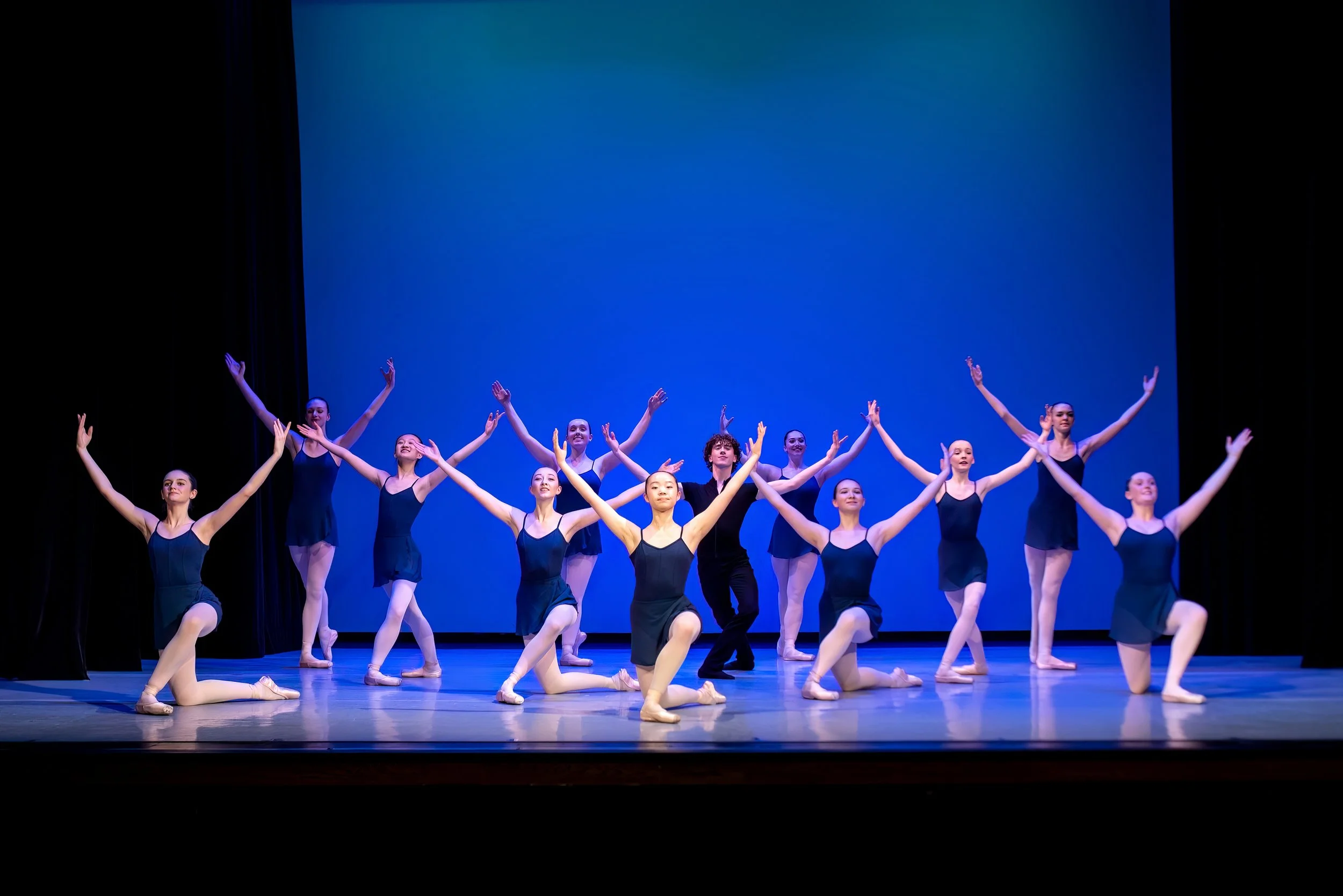 Opus-Spring Performance 24