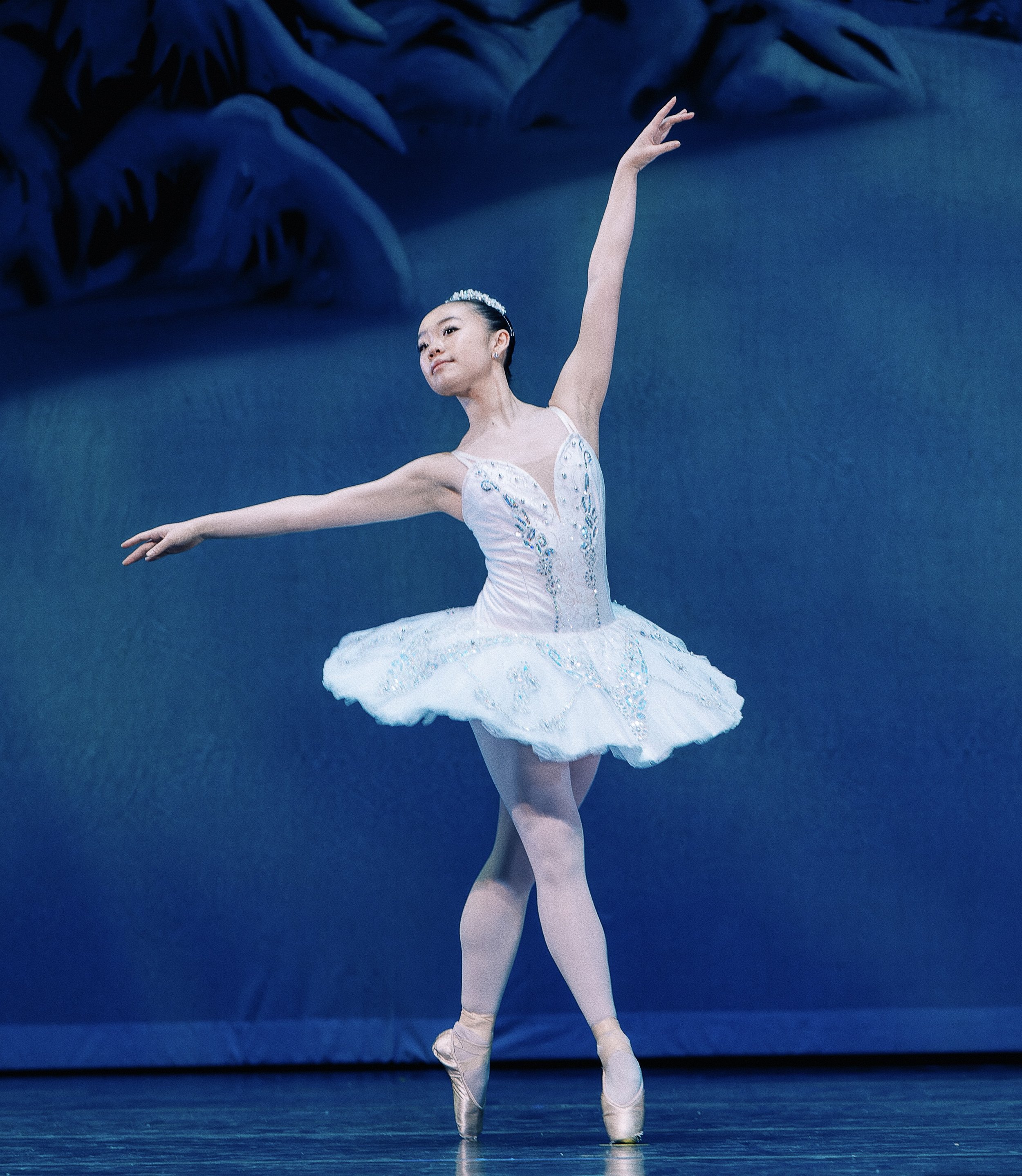 202_Nutcracker  _SAT_1.jpg