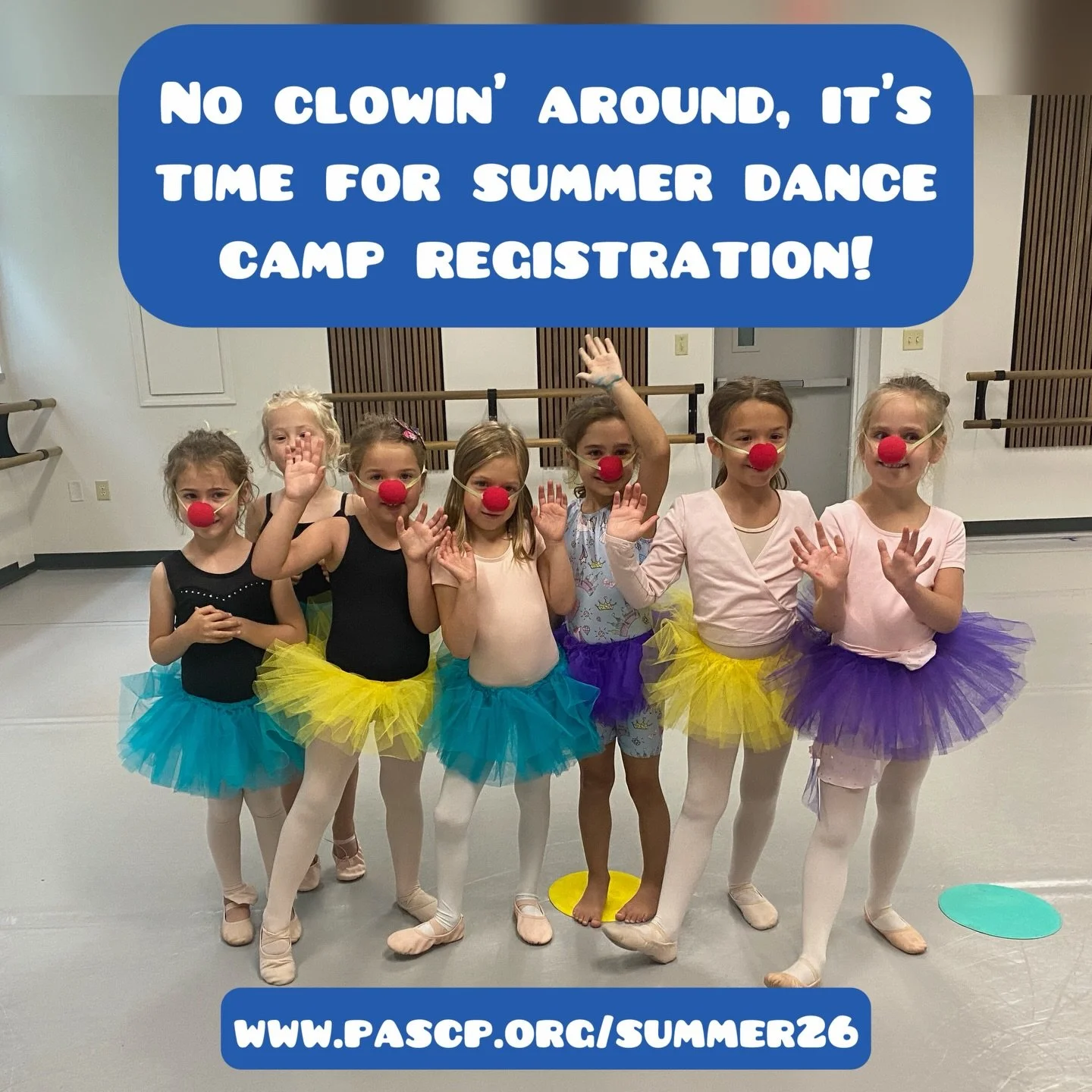 Ages 3-Adult: Classes, Camps, and Intensives! Register today! 

⭐️Top tier faculty
⭐️Register now, pay later
⭐️All day camps for 7-10 year olds
⭐️Half Day camps for 3-6 year olds
⭐️Try us out without the commitment of school year classes