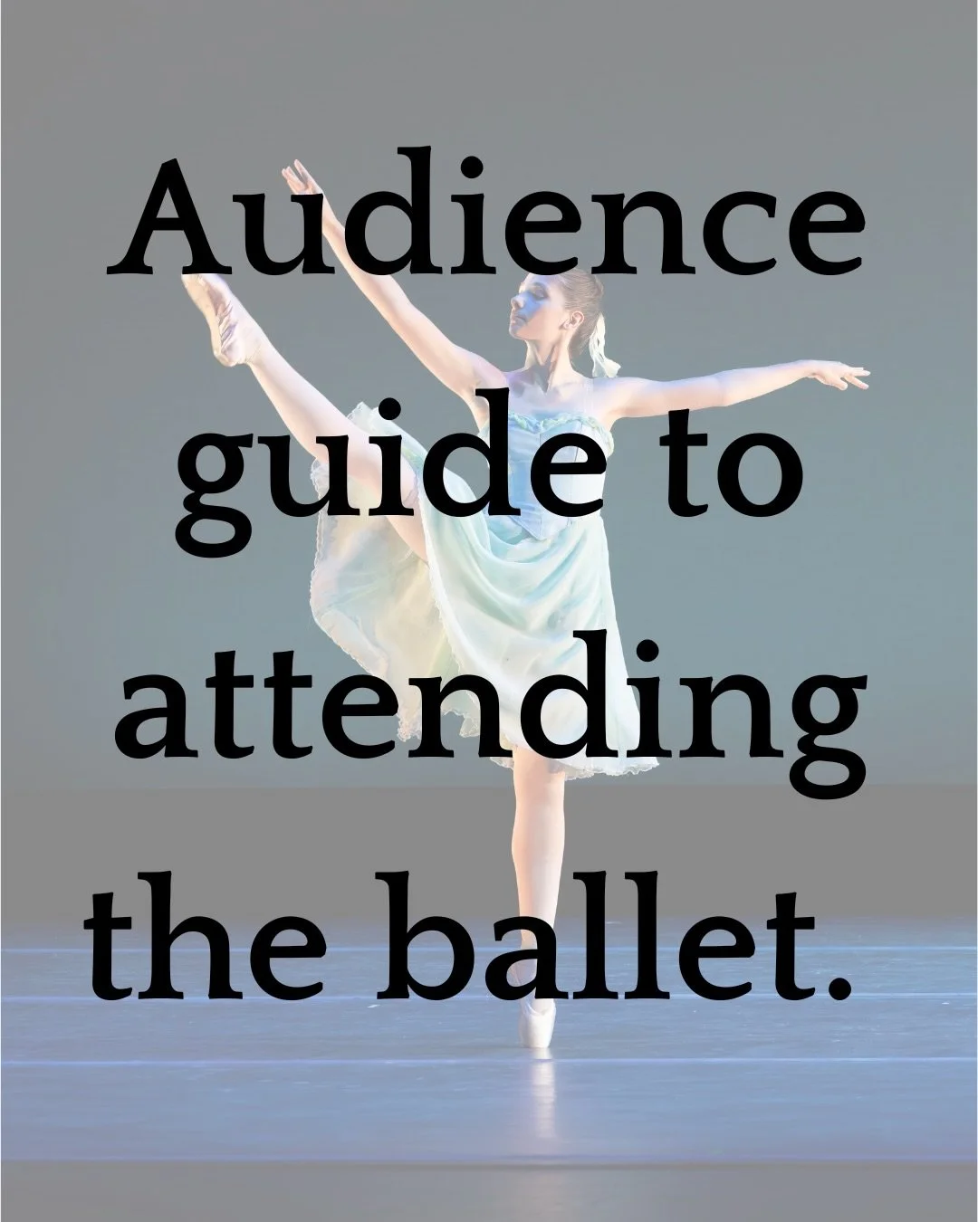 Looking for a chance to see beautiful ballet? We have our Spring Performance May 30th and 31st&mdash;come join us! 

#statecollegepa #happyvalleypa #nittanyballet #happyvalley