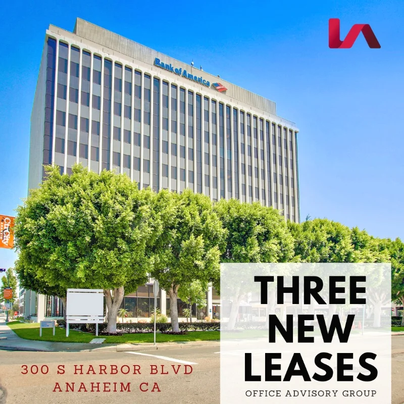 Three++New++leases.jpg
