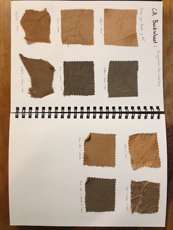 CA Buckwheat sample book.jpeg