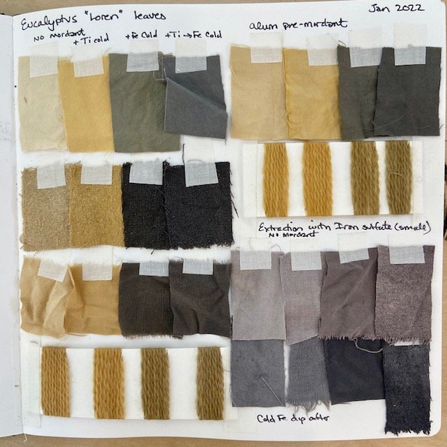 A dye journal (not included!!) aka aspirational experimentation!