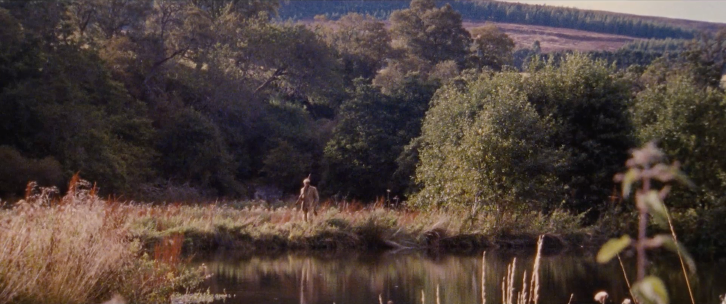 Screen Shot 2019-06-17 at 11.07.13 AM.png