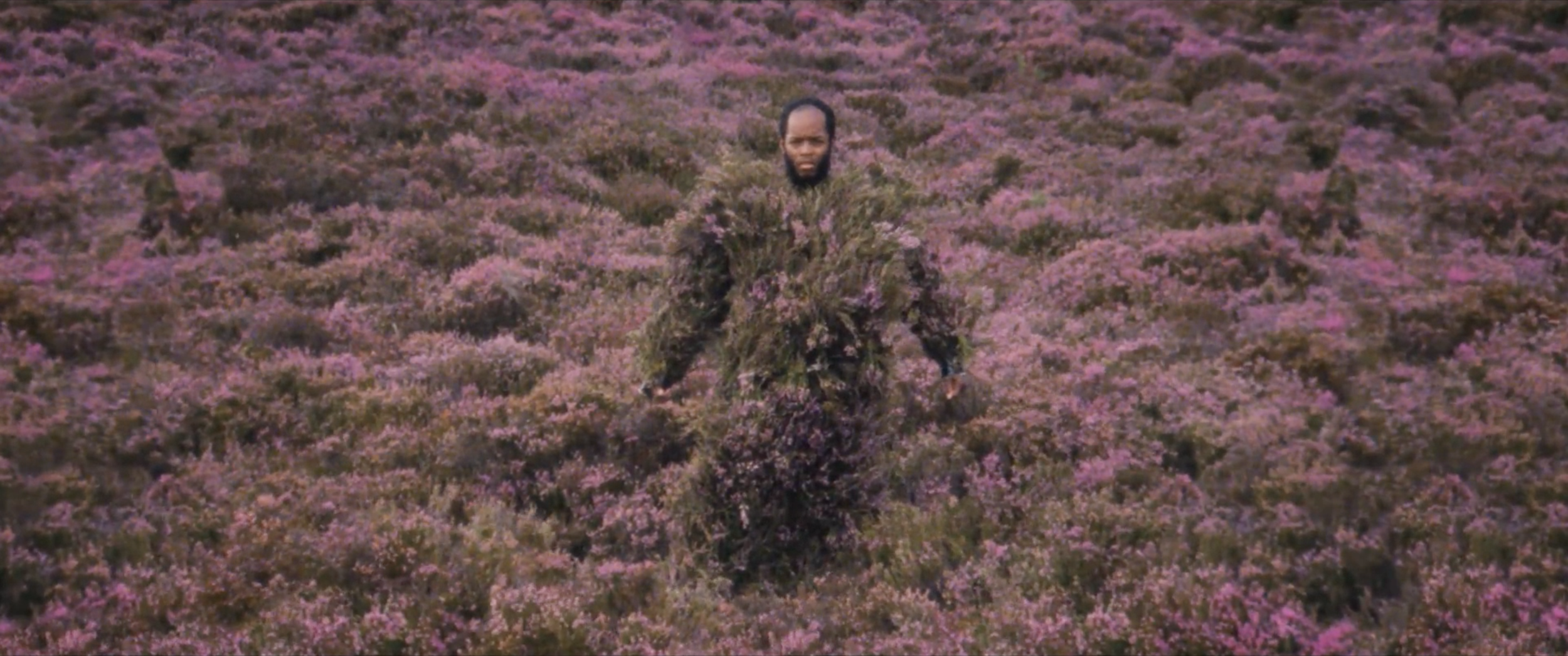 Screen Shot 2019-06-17 at 11.08.14 AM.png