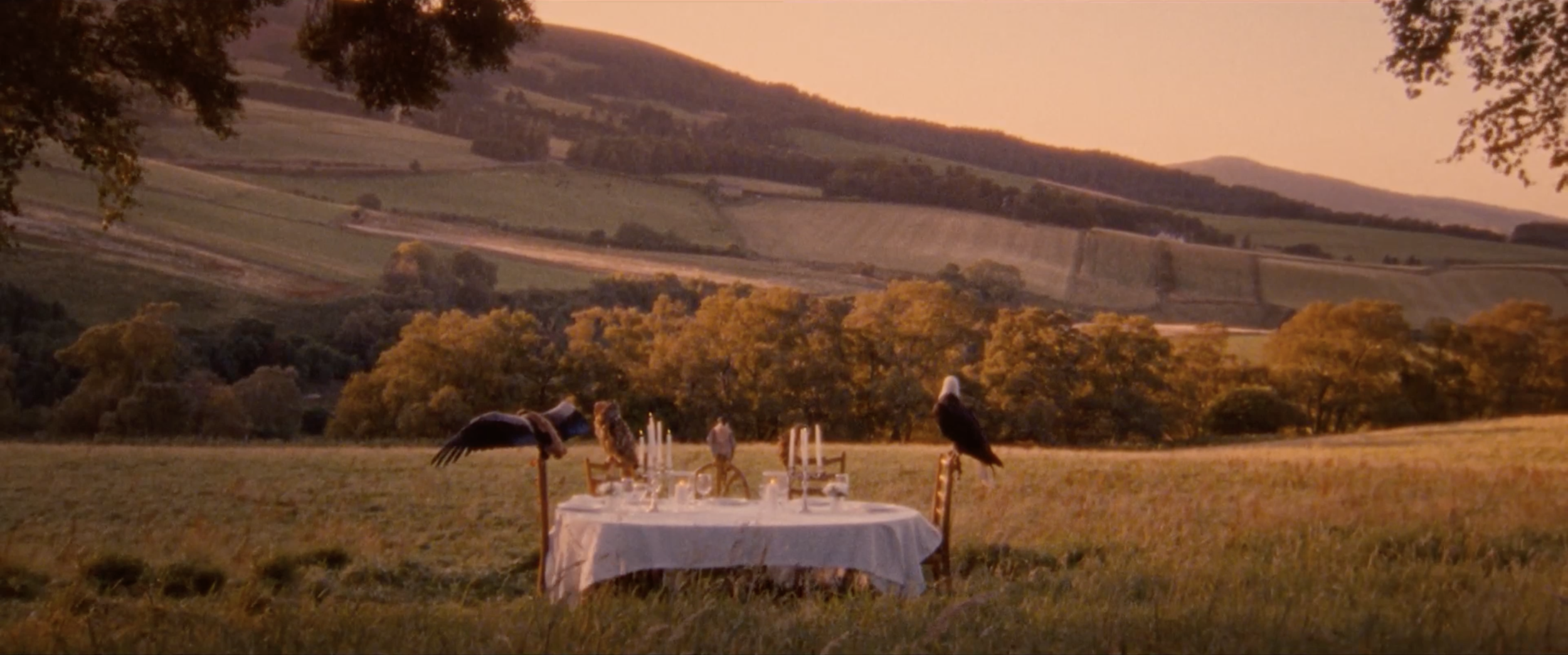 Screen Shot 2019-06-17 at 11.09.21 AM.png