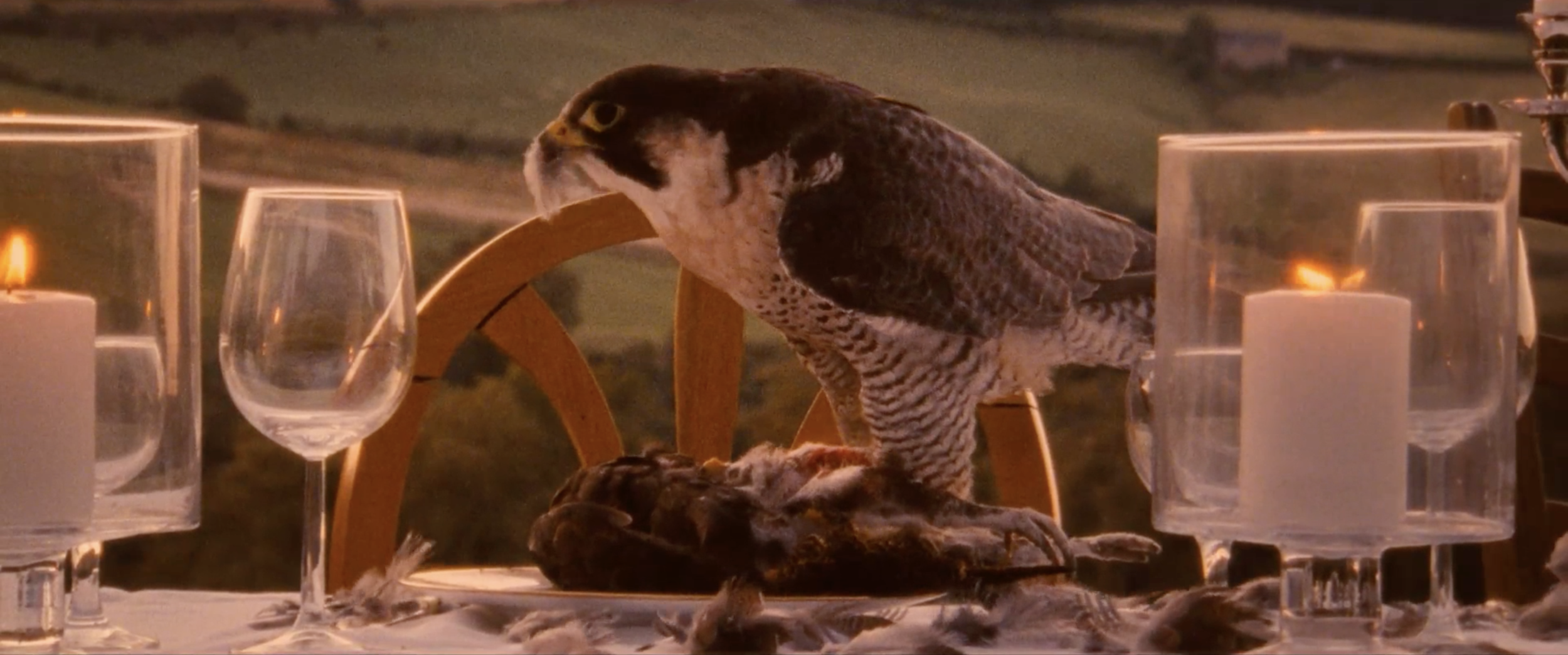 Screen Shot 2019-06-17 at 11.09.36 AM.png