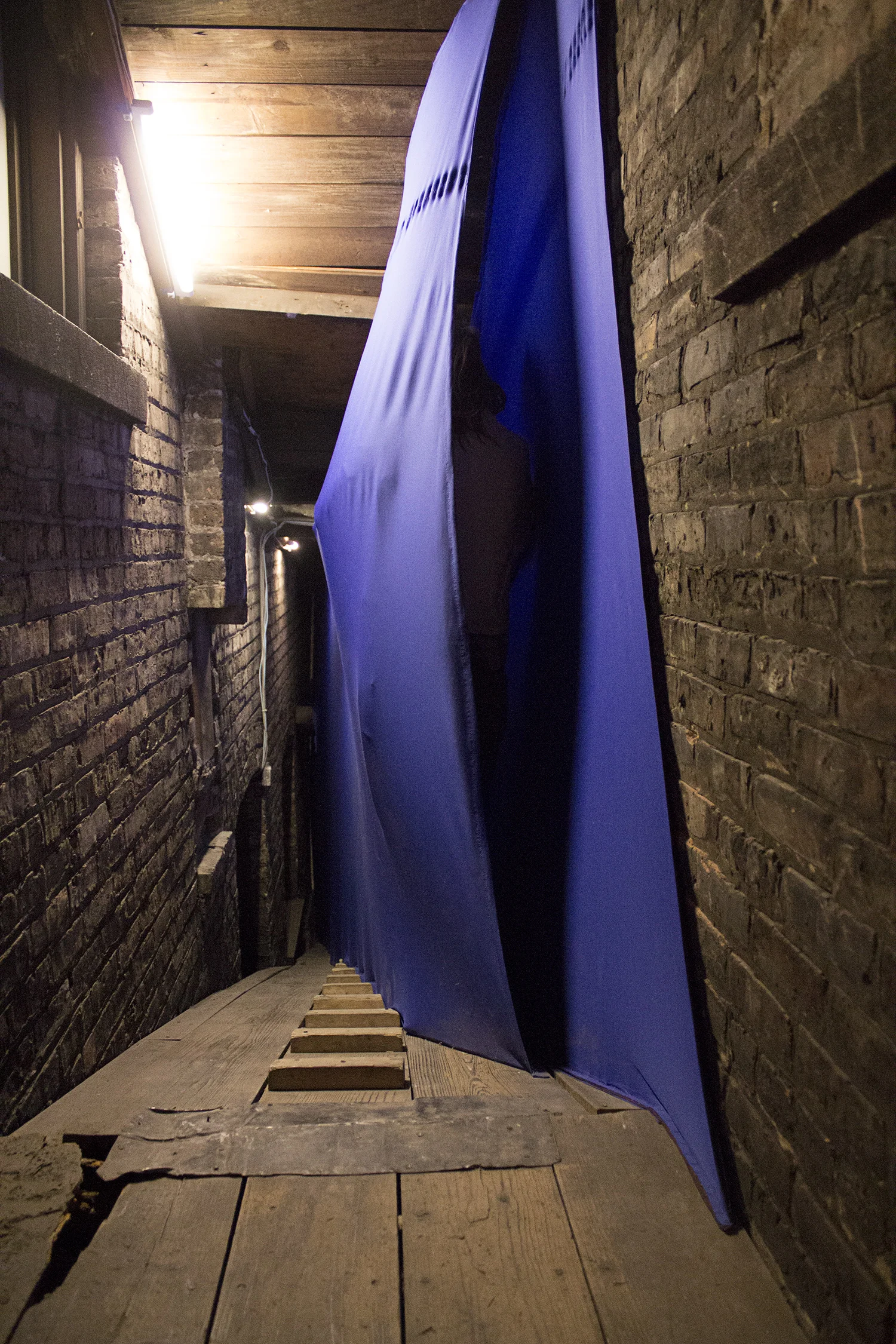 bluebound (walk-through), 2013