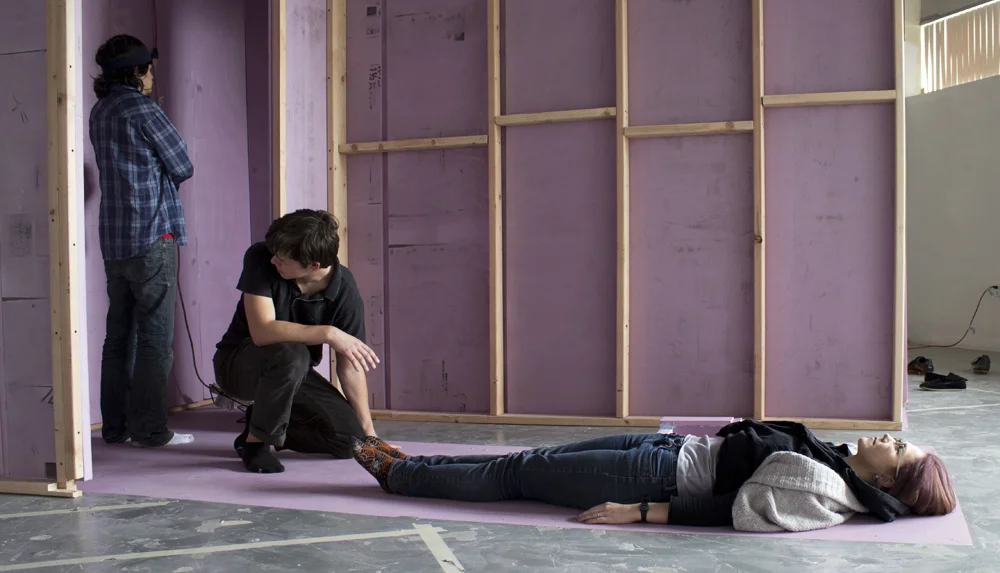 pink lab (activated), 2012