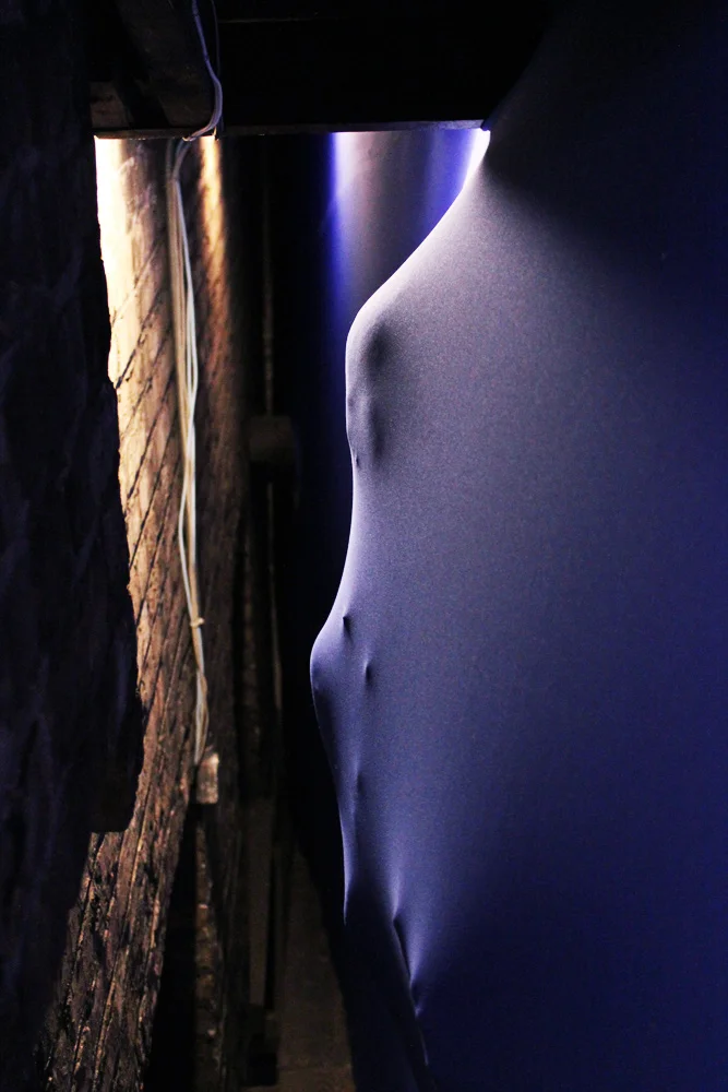 bluebound , Chicago, 2013