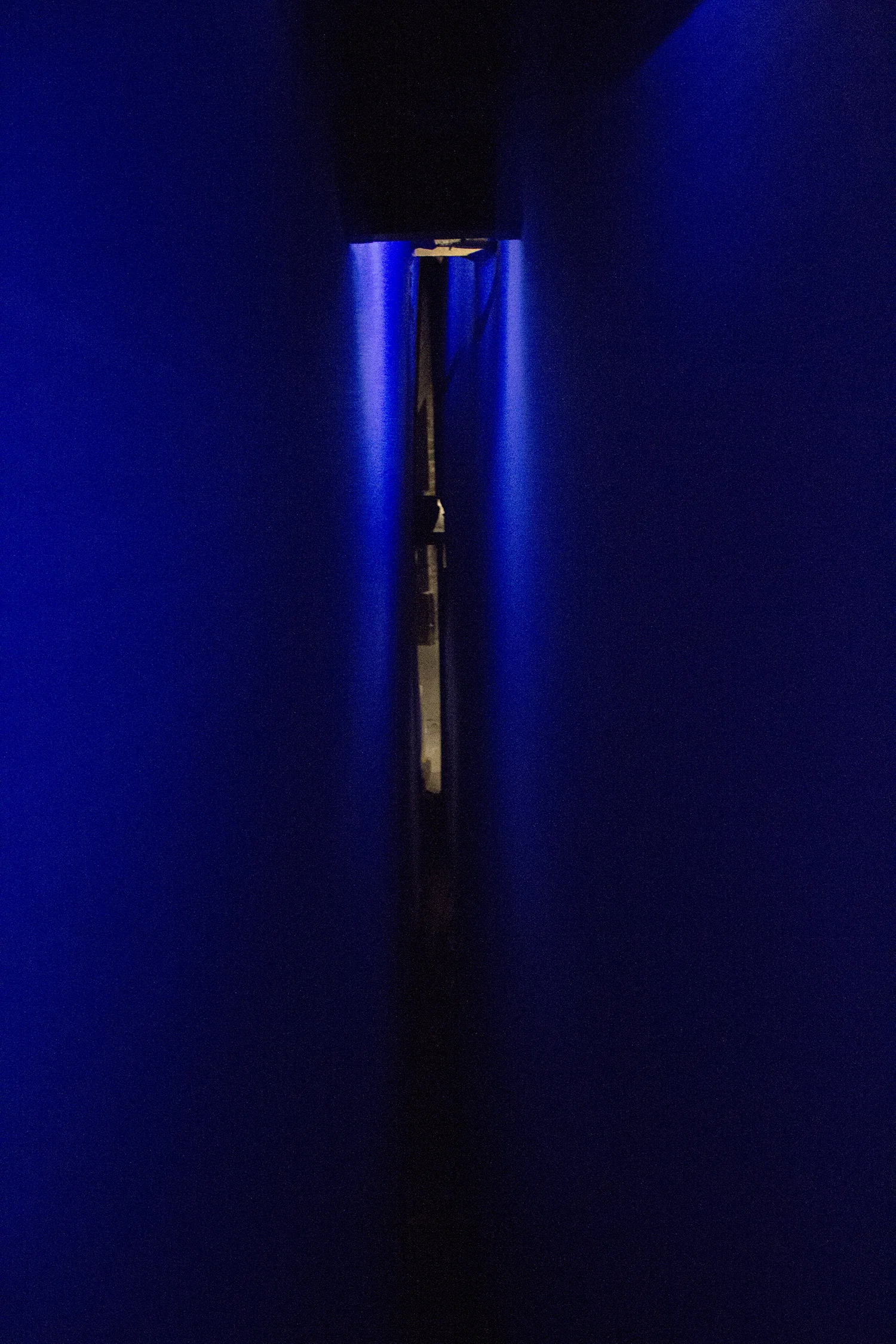 bluebound , Chicago, 2013