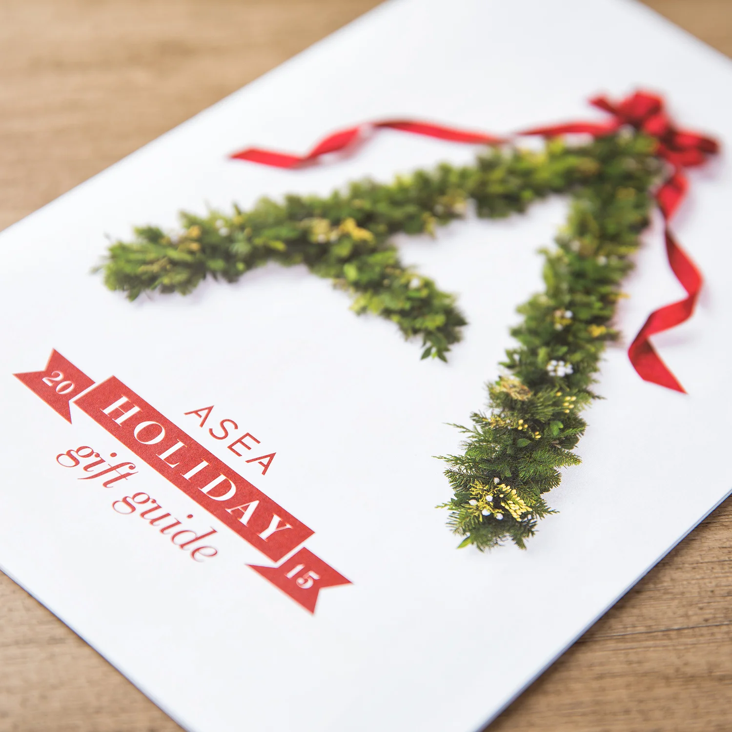 Holiday Gift Guide.jpg
