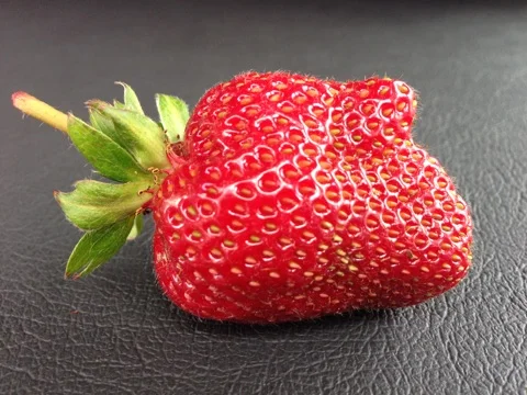 hands, hands everywhere ?! ...