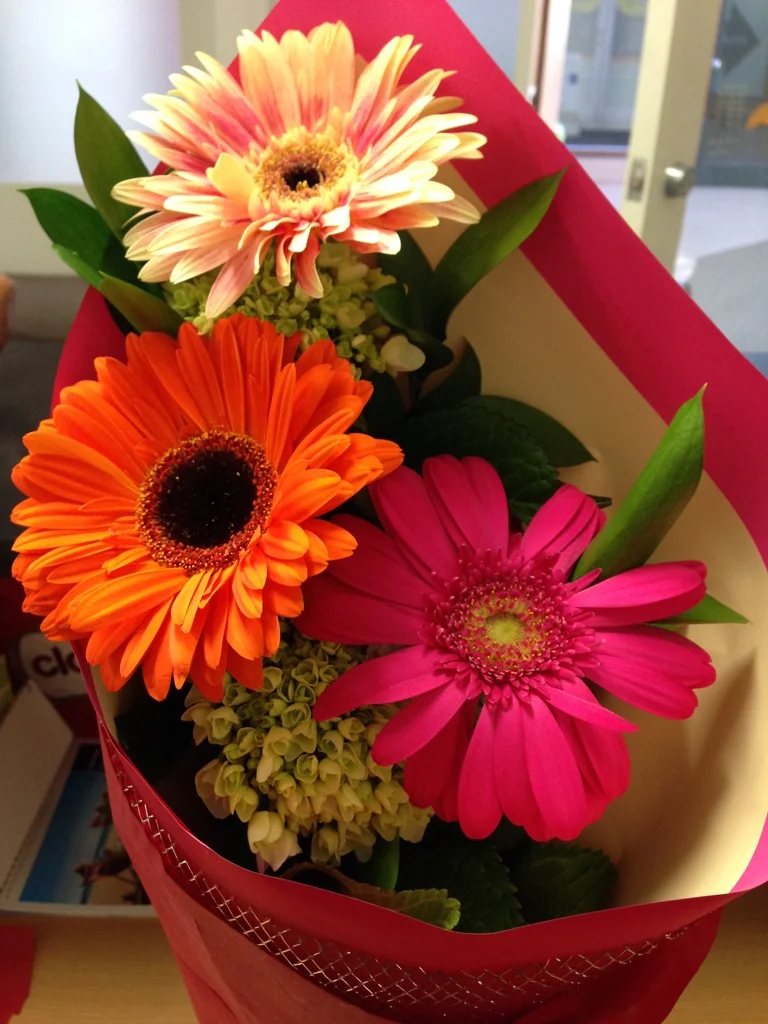 look what I got! ...