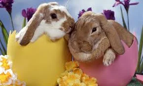 Easter Opening Hours