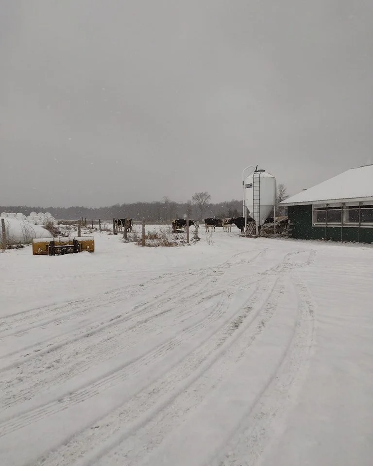 What do farmers do in the winter? Put the cows out on the nice days, pat their dogs, make cheese.