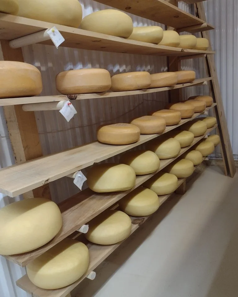 Tonight from 5-8pm, and the next two Saturdays after, we hope you can come visit the Brockville Aquatarium and check out our selection of Christmas cheeses and dairy artifacts! Free admission to the museum from 5-8pm while the Brockville Farmers' Mar