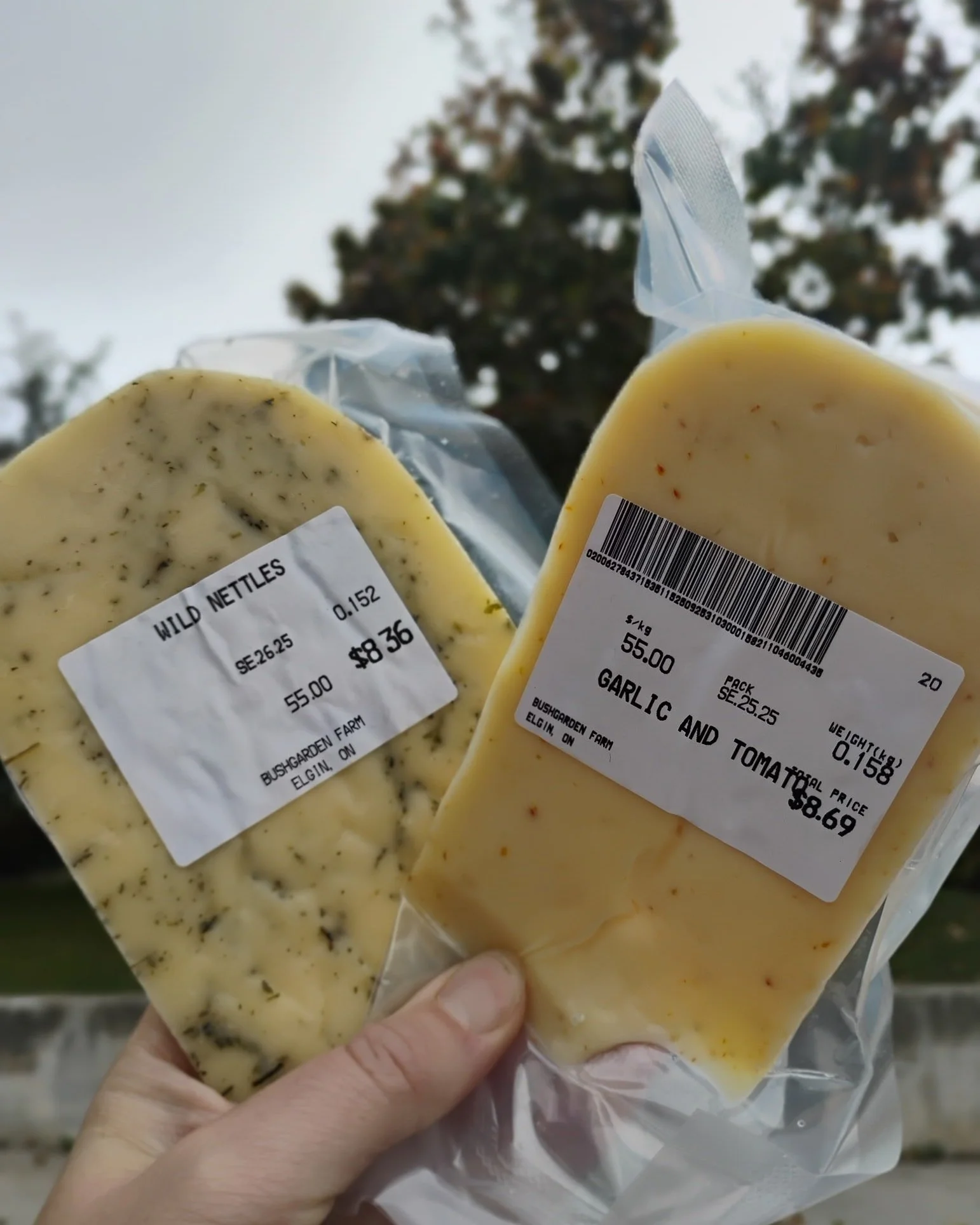 Back in stock this weekend at the @brockvillefarmersmarket this morning and the @memorialmarket tomorrow - Pilgrimage with nettles or tomato&amp;garlic! #organicdairy #rawmilkcheese #rawmilk  #ygkeats