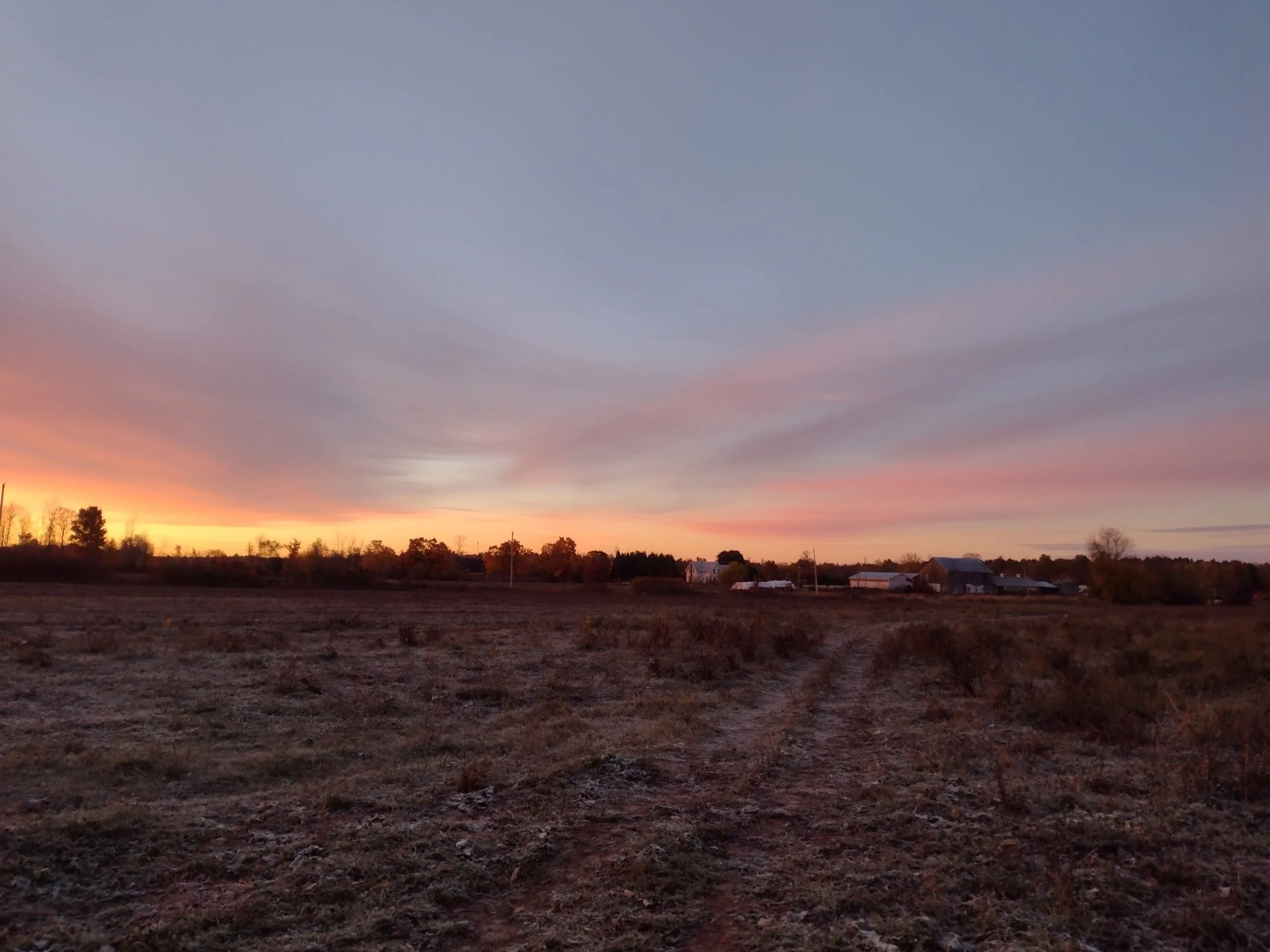 There is a sweet nostalgic charm,
 About an old Ontario farm,
That pulls your heart strings all awry,
 A clean breath taking sweep of sky
An old grey barn built on a knoll . . .

- Edna Jaques, The Golden Road (1953)
As it appears in The Bush Garden 